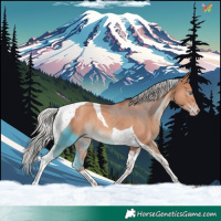 Horse Color:Silver Sable Champagne Tobiano Rabicano 