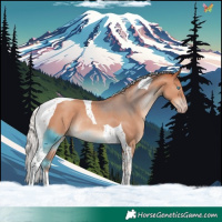 Horse Color:Silver Sable Champagne Tobiano Rabicano