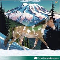 Horse Color:White Spotted Amber Champagne 