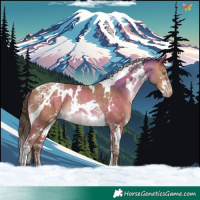 Horse Color:White Spotted Amber Champagne Tobiano Rabicano
