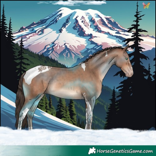 Horse Color:Amber Champagne Tobiano Rabicano