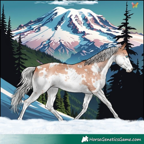 Horse Color:White Spotted Silver Amber Champagne Splash 