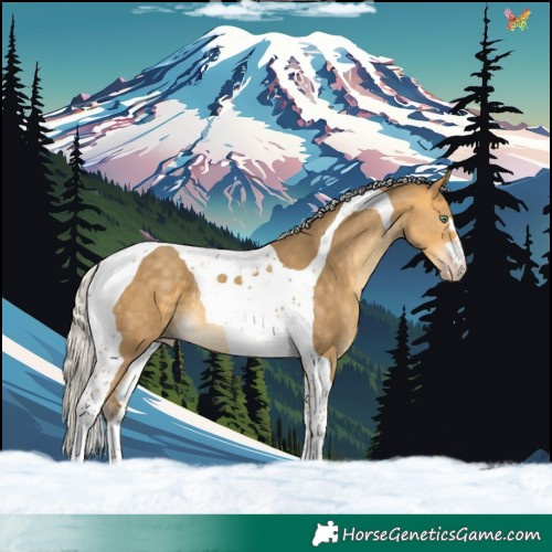Horse Color:Silver Amber Cream Champagne Tobiano 