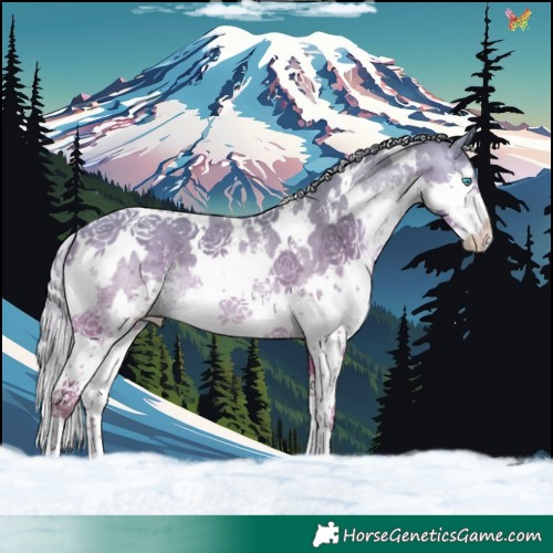 Horse Color:White Spotted Silver Amber Cream Champagne Sabino Splash 