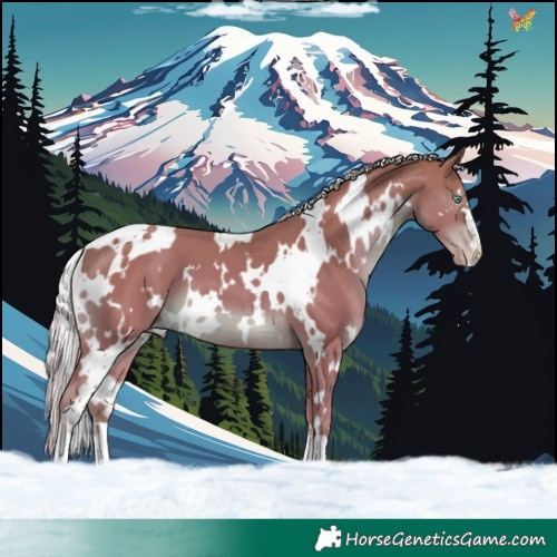 Horse Color:White Spotted Silver Amber Champagne 