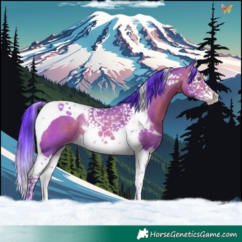 Horse Color:Watercolor Sable Champagne Splash Tobiano Rabicano 
