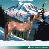 Horse Color:White Spotted Sable Champagne 