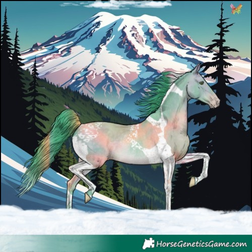Horse Color:Watercolor Sable Champagne Tobiano Rabicano