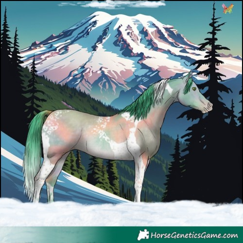 Horse Color:Watercolor Sable Champagne Tobiano Rabicano 