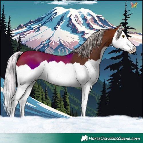 Horse Color:Silver Brown Splash 