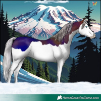 Horse Color:Silver Brown Splash 