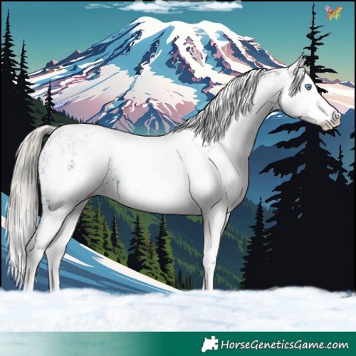 Horse Color:White Spotted Silver Brown Splash 