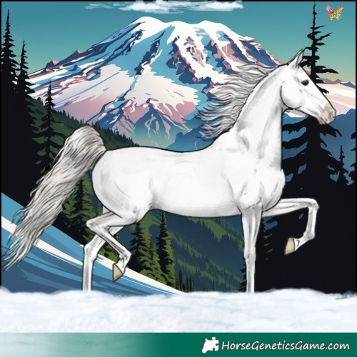 Horse Color:White Spotted Silver Brown Splash 