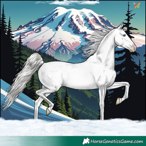 Horse Color:White Spotted Silver Brown Splash 