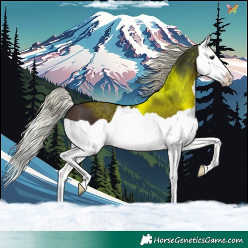 Horse Color:Silver Brown Splash 