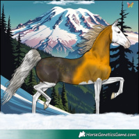 Horse Color:Silver Brown Splash 