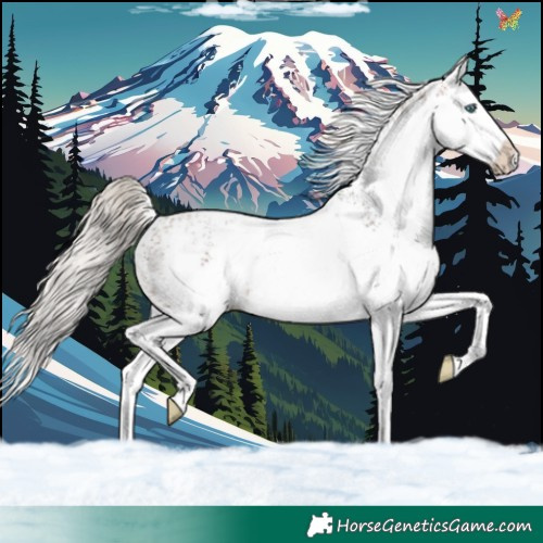 Horse Color:White Spotted Silver Brown Splash 