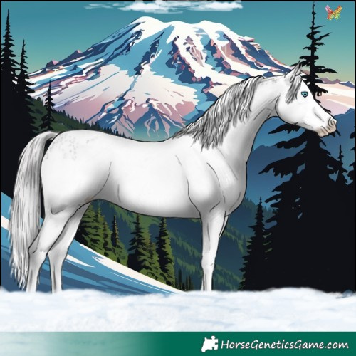 Horse Color:White Spotted Silver Brown Splash 
