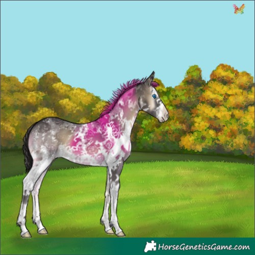 Horse Color:Smoky Blue Onyx Sabino Splash 