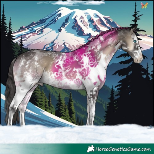 Horse Color:Smoky Blue Onyx Sabino Splash 