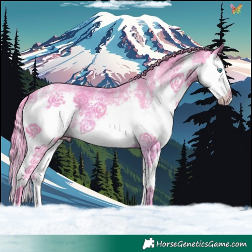 Horse Color:Watercolor Smoky Black Sabino Splash 