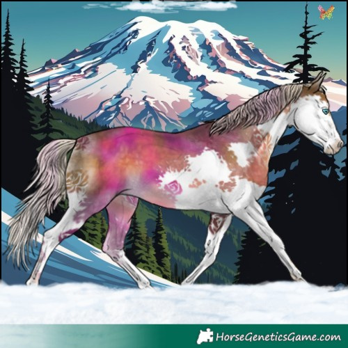 Horse Color:Chocolate Palomino Splash