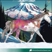 Horse Color:Chocolate Palomino Splash