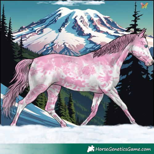 Horse Color:Watercolor Smoky Black Sabino Splash 