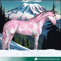 Horse Color:Watercolor Smoky Black Sabino Splash