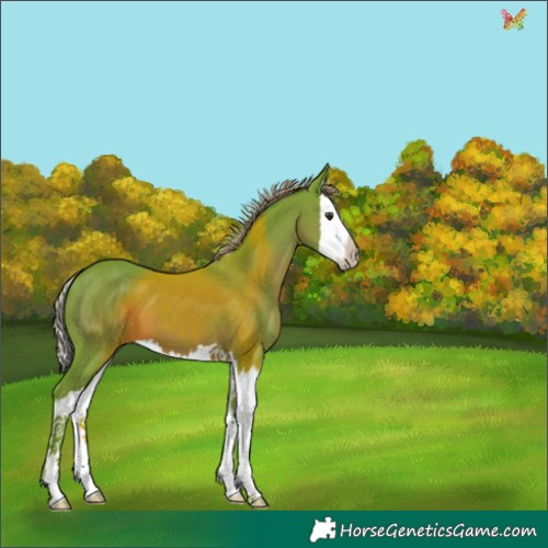 Horse Color:Watercolor Liver Chestnut Splash 