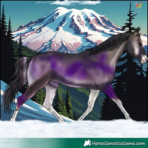 Horse Color:Blue Onyx 