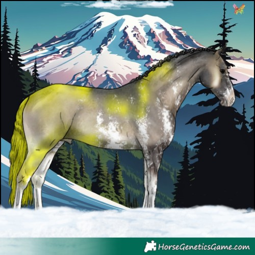 Horse Color:Blue Onyx Sabino 