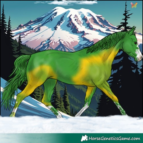 Horse Color:Watercolor Smoky Black 