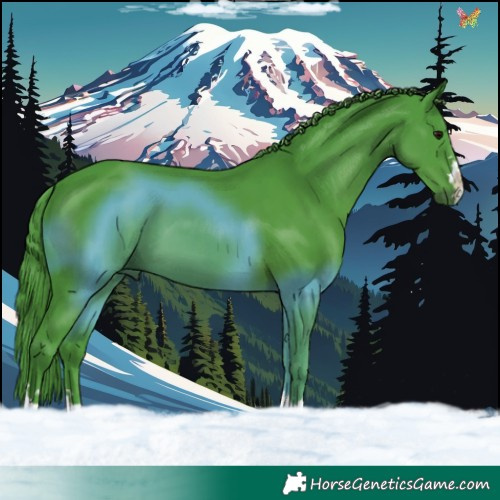 Horse Color:Watercolor Smoky Black 