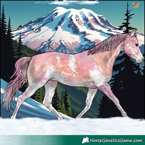Horse Color:Watercolor Smoky Blue Onyx Sabino Splash 
