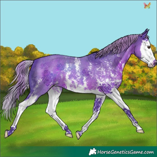 Horse Color:Watercolor Liver Chestnut Sabino Splash 