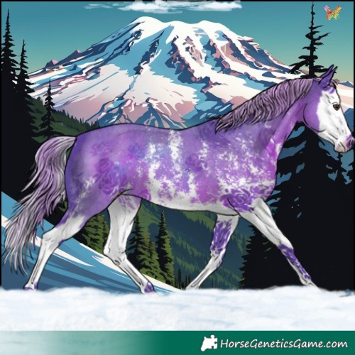 Horse Color:Watercolor Liver Chestnut Sabino Splash 
