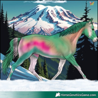 Horse Color:Watercolor Smoky Blue Onyx 