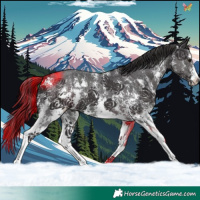 Horse Color:Smoky Black Sabino 