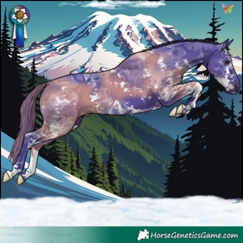 Horse Color:Watercolor Black Sabino 