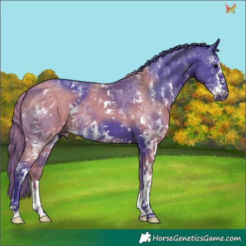 Horse Color:Watercolor Black Sabino