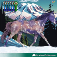 Horse Color:Watercolor Black Sabino