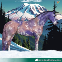 Horse Color:Watercolor Black Sabino 