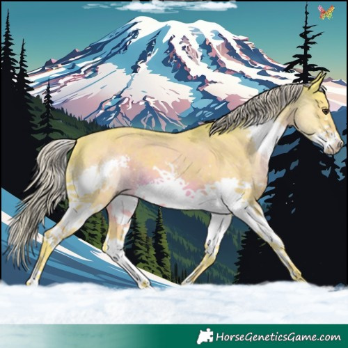 Horse Color:Watercolor Liver Chestnut Splash 