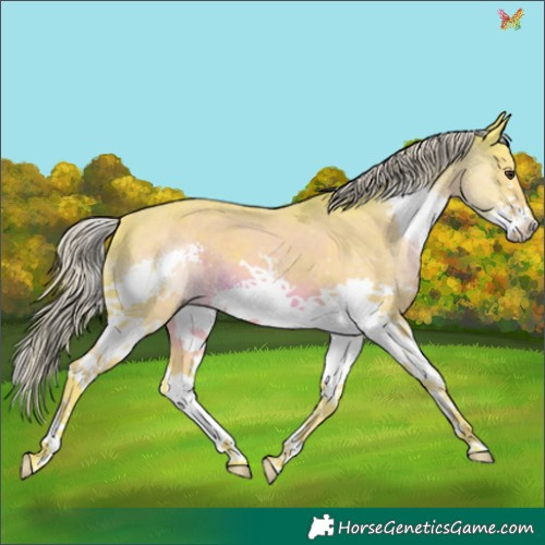 Horse Color:Watercolor Liver Chestnut Splash 