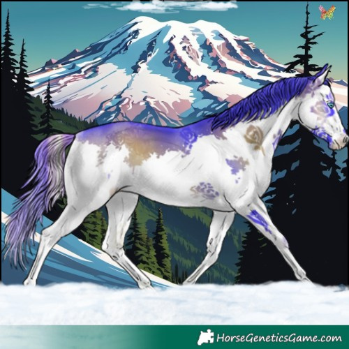 Horse Color:Watercolor Smoky Blue Onyx Splash 