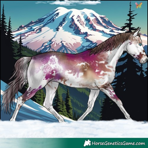 Horse Color:Liver Red Onyx Splash 