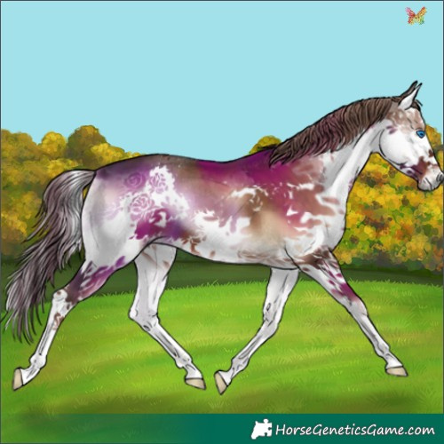 Horse Color:Liver Red Onyx Splash 