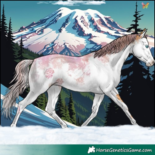 Horse Color:Watercolor Liver Red Onyx Sabino Splash 