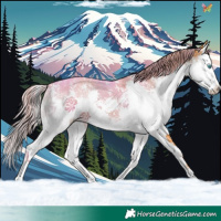 Horse Color:Watercolor Liver Red Onyx Sabino Splash